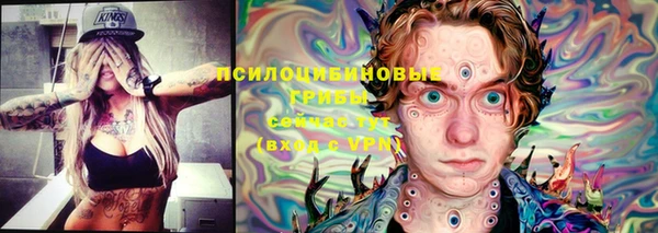 ГАЛЛЮЦИНОГЕННЫЕ ГРИБЫ Алексеевка