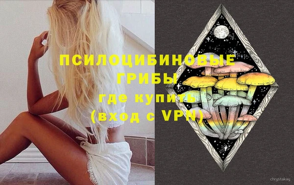 ГАЛЛЮЦИНОГЕННЫЕ ГРИБЫ Алексеевка