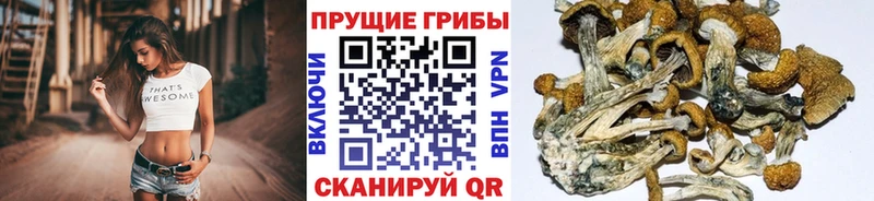 Галлюциногенные грибы GOLDEN TEACHER  Инсар 